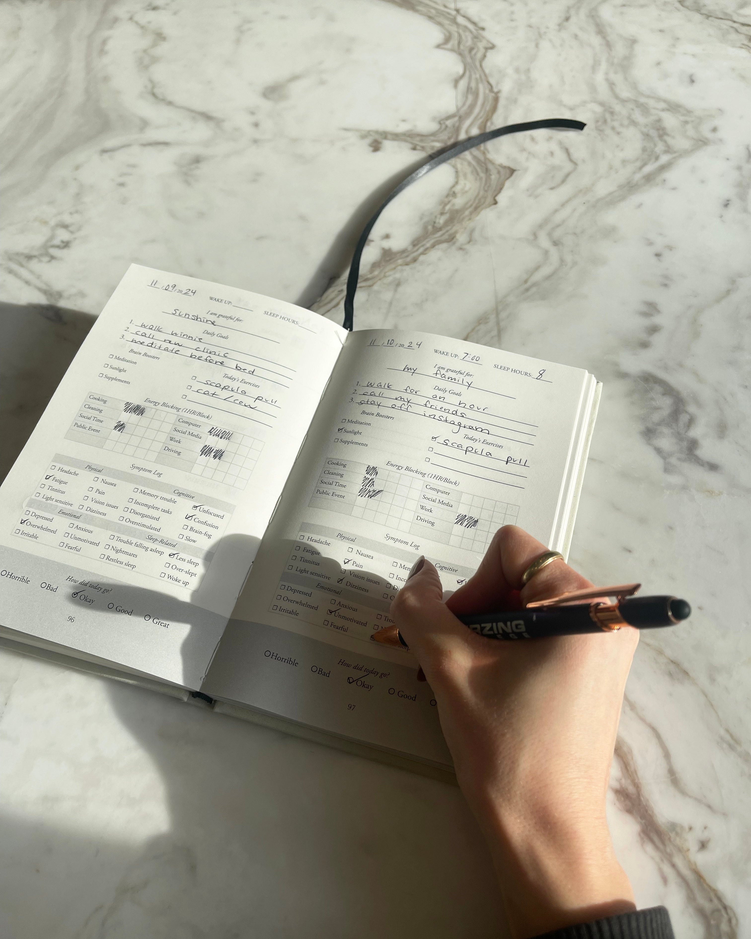 The Concussion Recovery Journal
